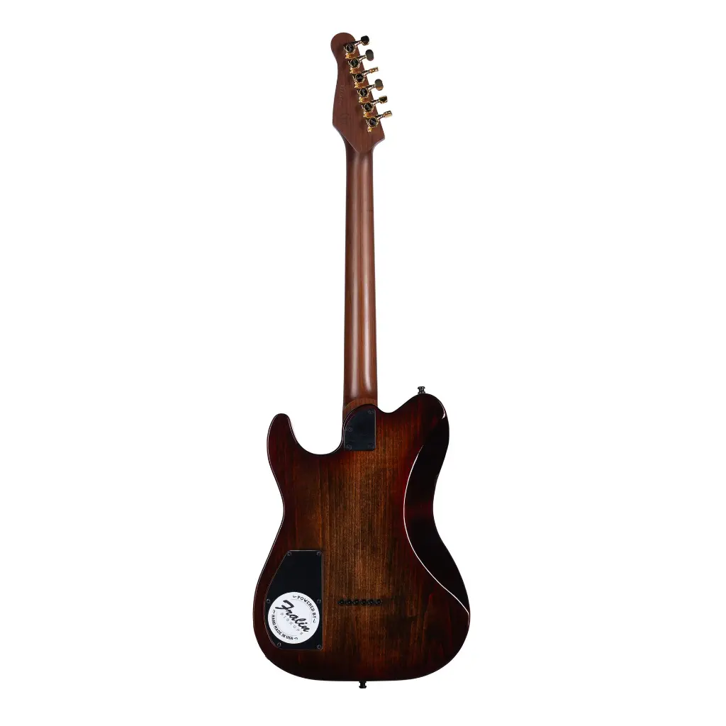 053452_ARTISAN_TC_WHISKEYBURST_MN_BACK.webp