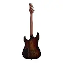053476_ARTISAN_ST_II_WHISKEYBURST_EN_BACK.webp