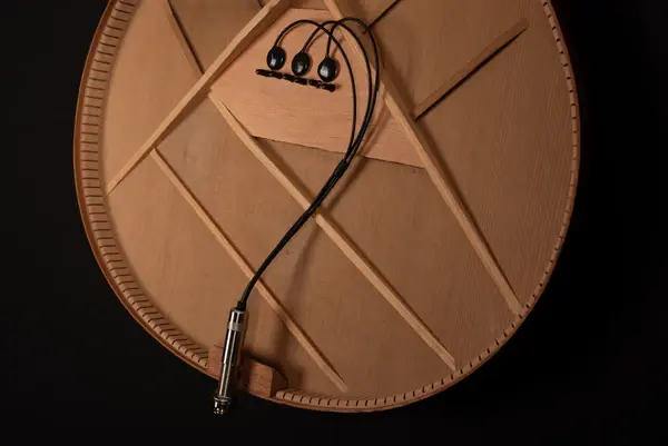 NS3 Natural Sound 3 Sensor Passive Pickup Inside Angle View.webp