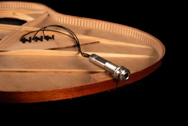 NS3 Natural Sound 3 Sensor Passive Pickup Input Jack View.webp