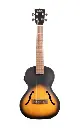 Kala KA-JTE-2TS Archtop Tobacco Burst Tenor Ukulele Front View.webp