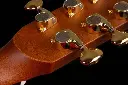 Boucher SM-PN-72-G Signature Patrick Norman Headstock & Tuners View.webp