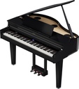 Grand Piano Numérique Roland GP-6-PE