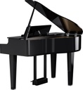 Grand Piano Numérique Roland GP-6-PE