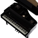 Grand Piano Numérique Roland GP-6-PE