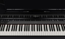 Grand Piano Numérique Roland GP-6-PE
