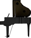 Grand Piano Numérique Roland GP-9-PE