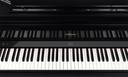 Grand Piano Numérique Roland GP-9-PE