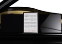 Grand Piano Numérique Roland GP-9-PE