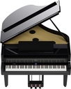 Grand Piano Numérique Roland GP-9M-PE
