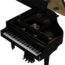 Grand Piano Numérique Roland GP-9M-PE