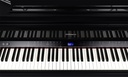 Grand Piano Numérique Roland GP-9M-PE