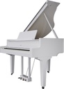 Grand Piano Numérique Roland GP-9M-PW