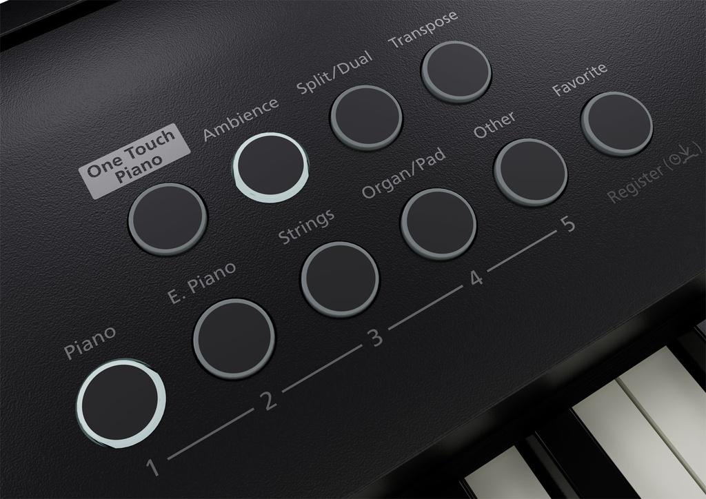 Ensemble Piano Numérique Roland FP-E50 Noir