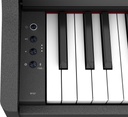 Piano Numérique Roland RP107 Noir