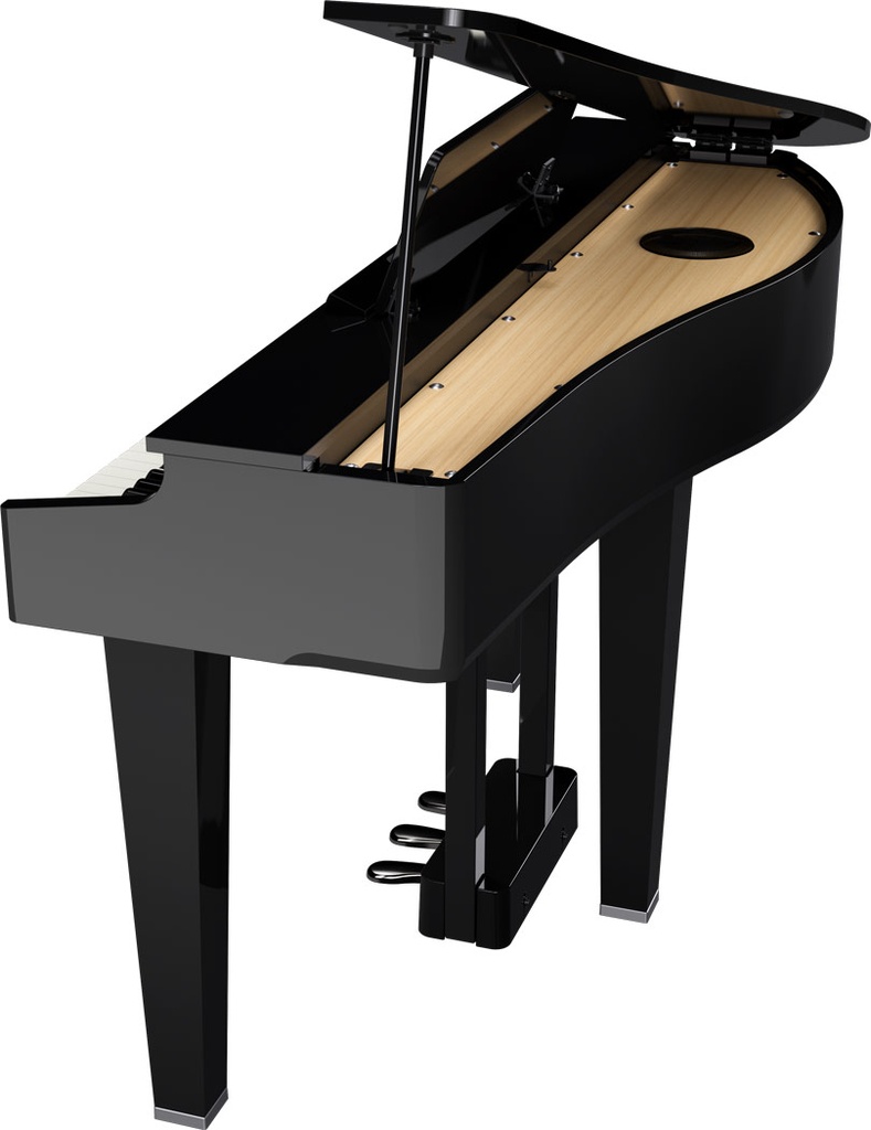Grand Piano Numérique Roland GP-3-PE