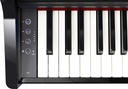 Grand Piano Numérique Roland GP-3-PE