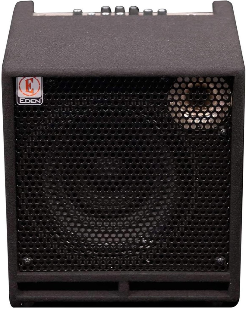 Amplificateur Eden TN2251