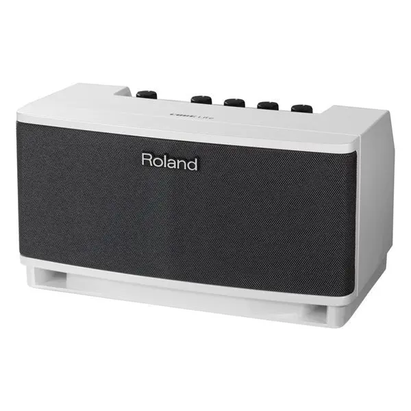 Moniteur Roland CUBE-LT-WH