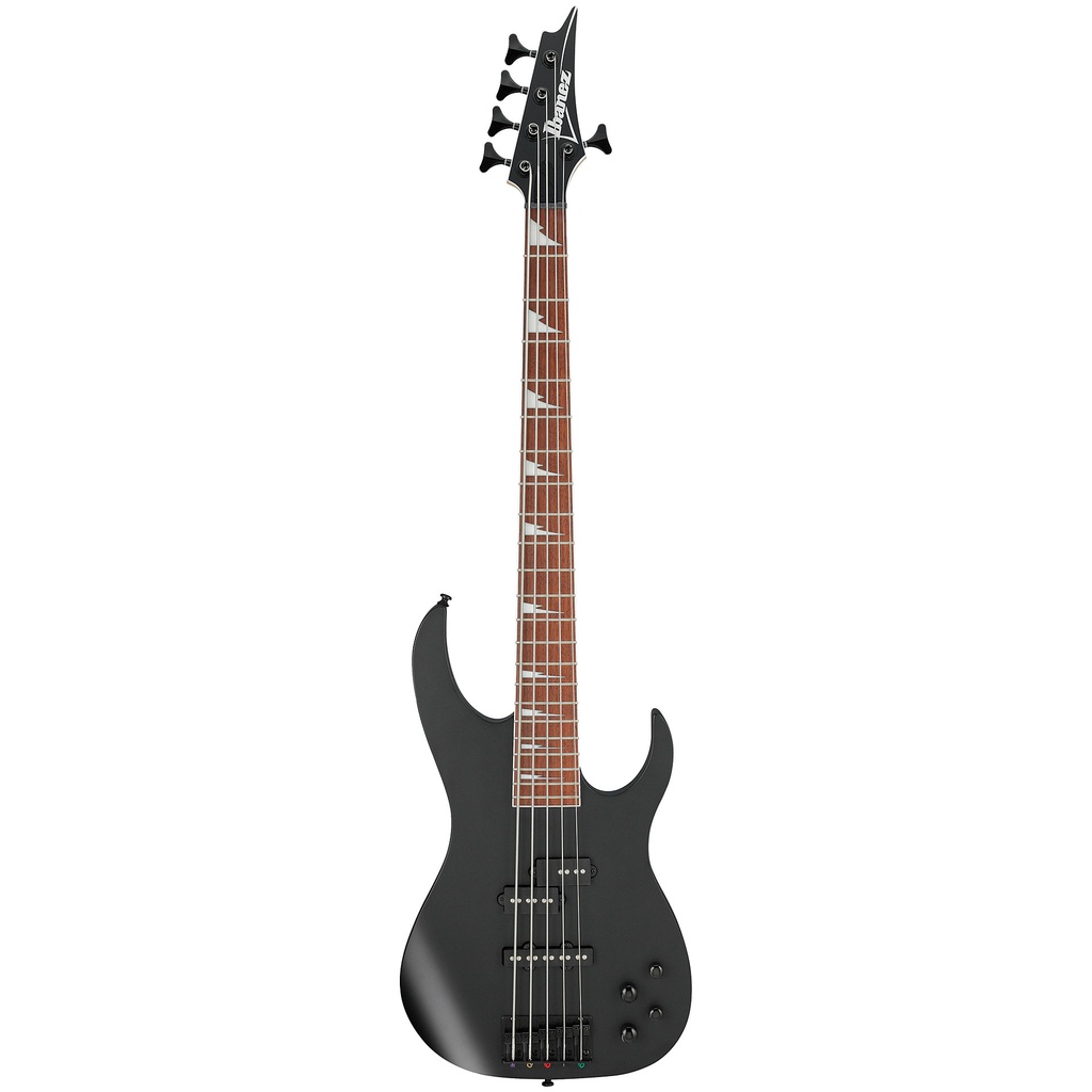 Basse Électrique Ibanez RGB305 Black Flat