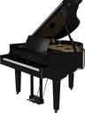 Grand Piano Numérique Roland GP-9M-PE