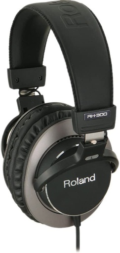Casque D'Écoute Roland RH-300 Noir