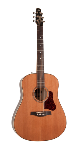 [042494] Seagull Coastline Momentum HG A/E Brune Guitare Acoustique