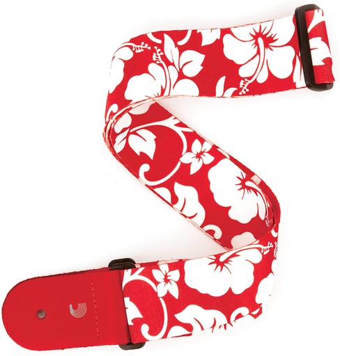 [P20S1502] Courroie D'Addario Hibiscus
