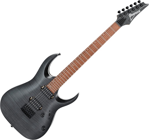 [RGA42FMTGF] Guitare Électrique Ibanez RGA42FM Transparent Gray Flat